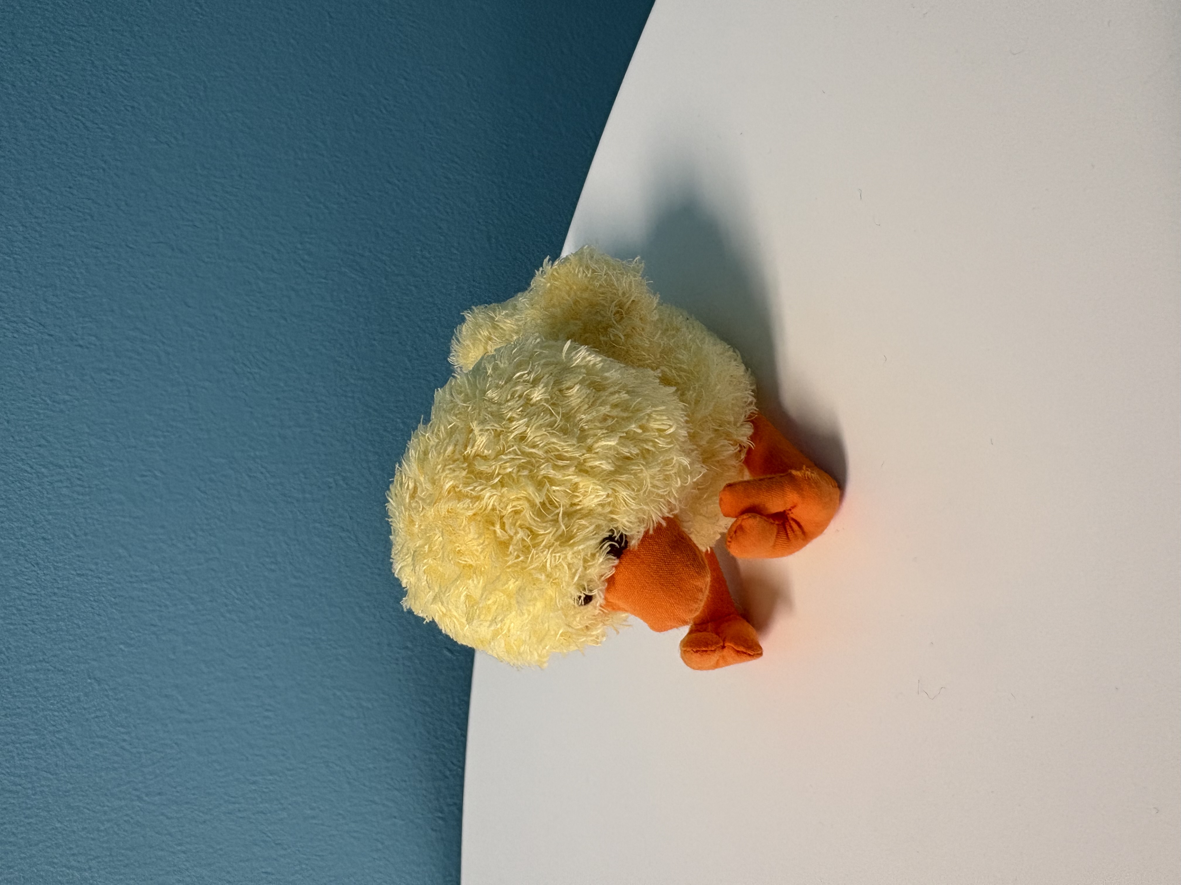 Signed image of duck